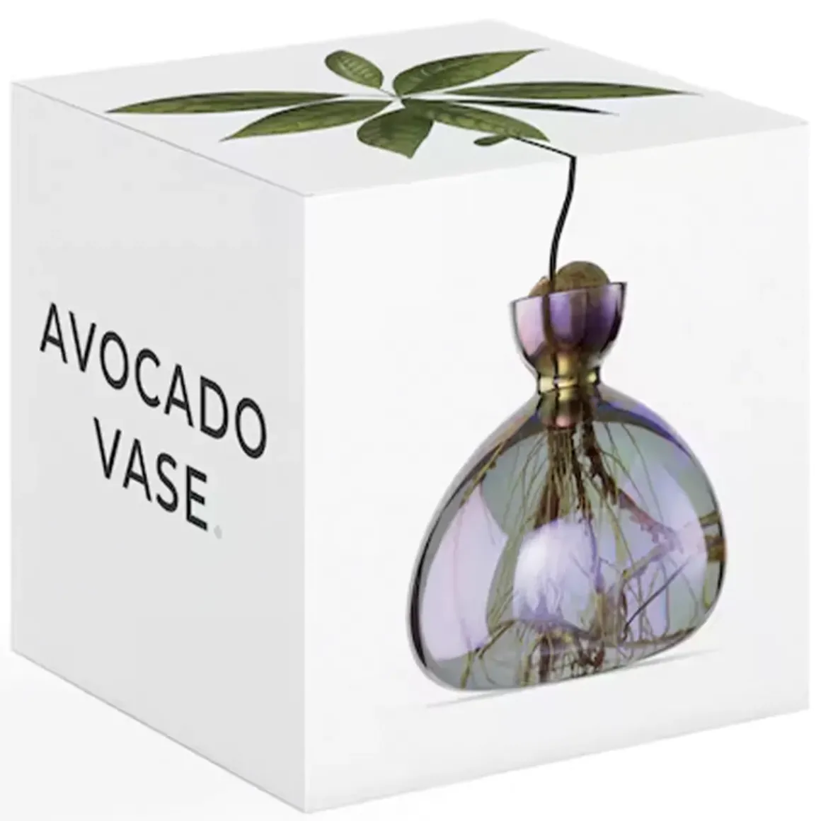 Vase en verre pour avocat