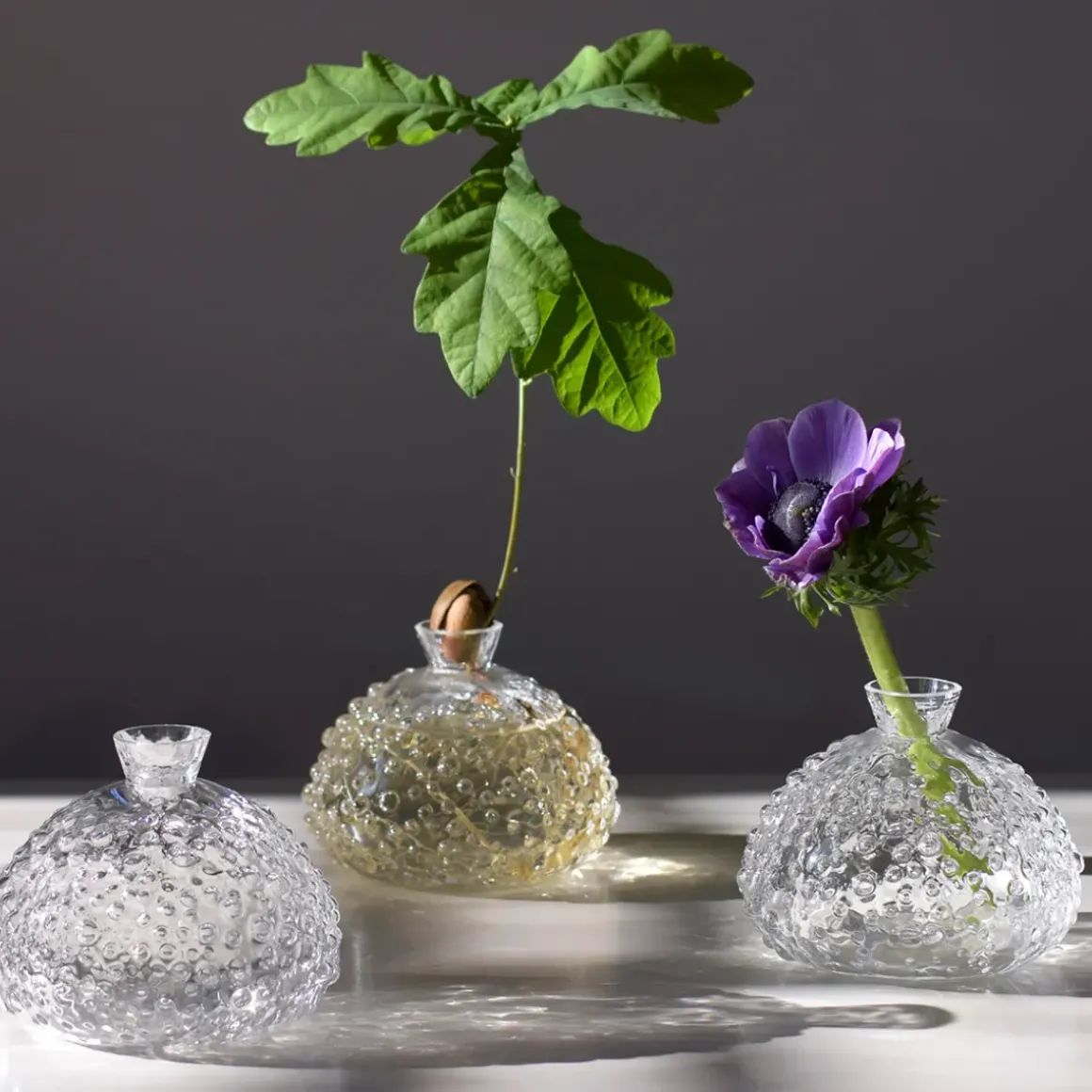 Vase Regn