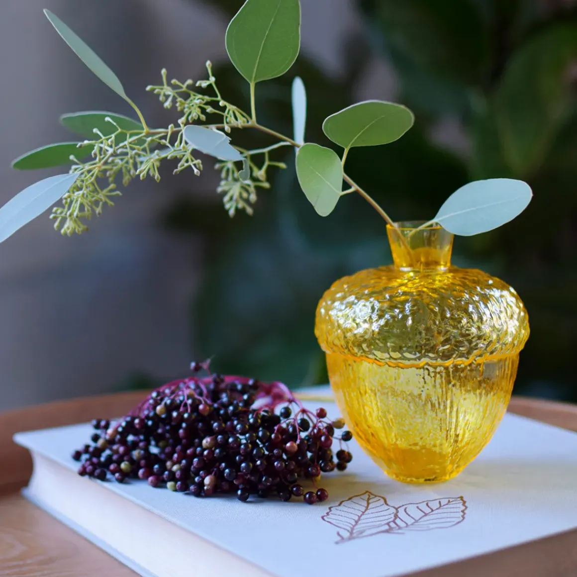 Vase Robur